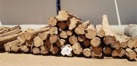 Timber, Steel, and Cement Pudukkottai,Karaikudi,Sivagangai | Logs ...