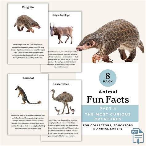Animal Fun Fact Cards for Students and Adults, the Most Curious ...