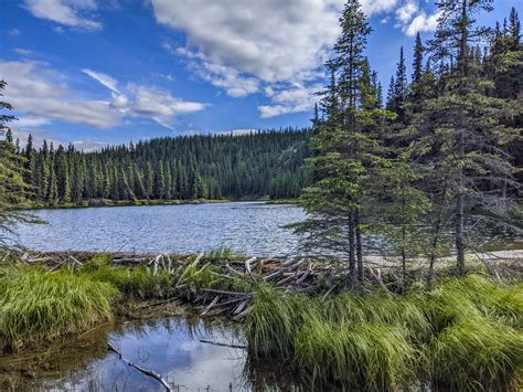 Horseshoe Lake Trail and Hike in Denali National Park, Alaska ...