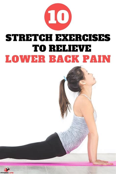 Image result for Lower Back Stretching Exercises