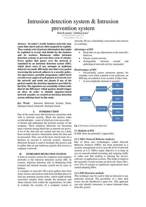 IEEE Format Examples 的图像结果