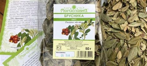 Брусничный лист – лечебные свойства и противопоказания. От чего ...