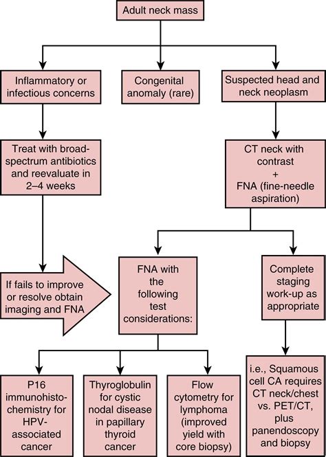 Head and Neck Malignancy - Clinical Tree