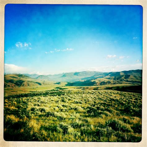 TLC – Tran Law Firm