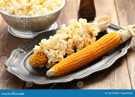 Popcorn on the cob stock photo. Image of husk, organic - 101310994