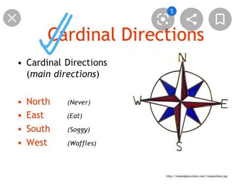 Draw cardinal and intermediate directions - Brainly.in