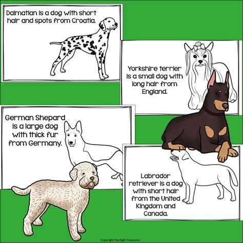 Dogs for 1st Graders Science 的图像结果