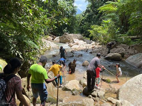 Rafflesia Half Day Trekking Trip in Cameron Highlands, Malaysia - Klook ...