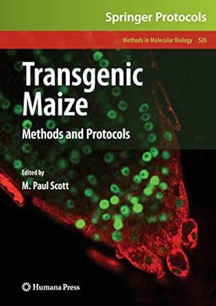 Buy TRANSGENIC MAIZE: METHODS AND PROTOCOLS (METHODS IN MOLECULAR ...