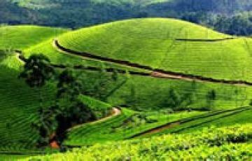 Ecstatic 4 Days 3 Nights Alleppey Tour Package | Munnar, Alleppey ...