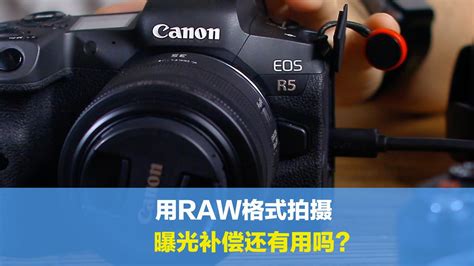用RAW格式拍摄就好，还要啥曝光补偿？分享四种品牌的相机的使用