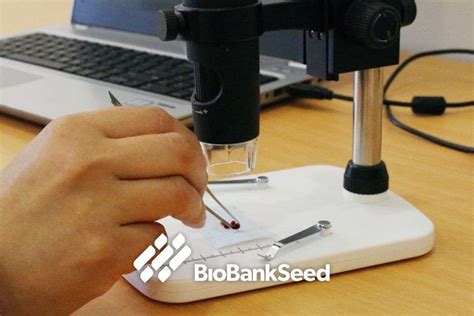 Image result for Seed Testing Lab