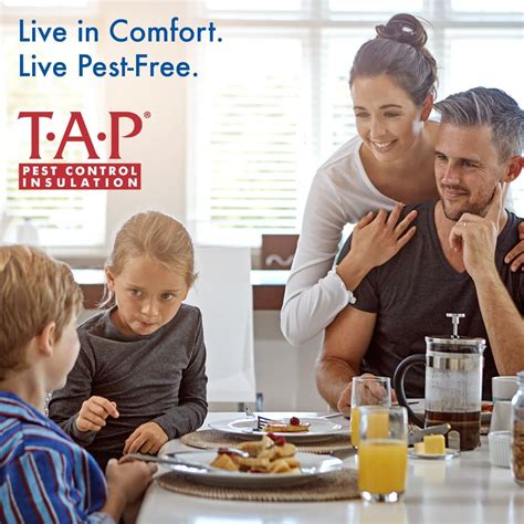 Attic Pest Control 的图像结果