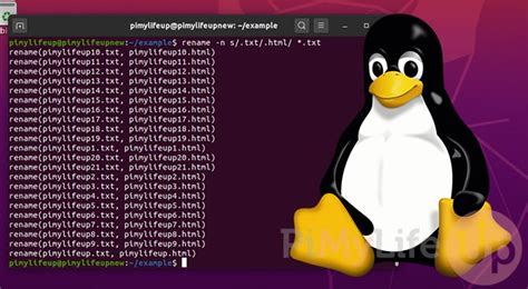 Image result for Linux Rename File