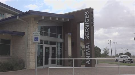 Midland Animal Services to close facility to the public for training ...