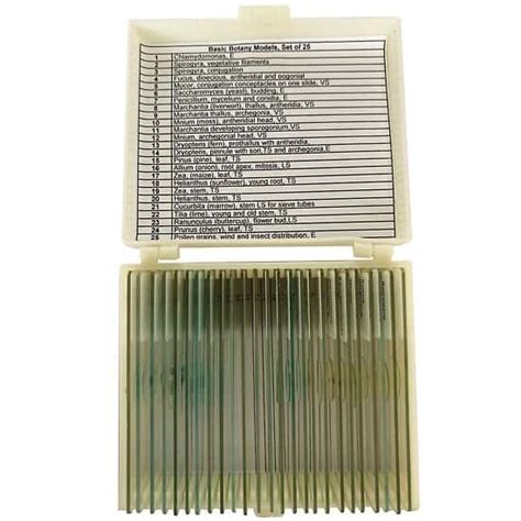 Cole-Parmer Prepared Microscope Slide Set, Basic Botany Models, Set of ...