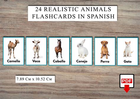 24 Realistic Domestic Animal Flashcards in Spanish - PrntPixl