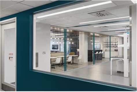 Image result for Concept Fox Lab GBC Lab Victor Lab