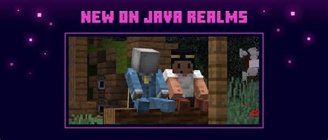 Image result for How Much Are Java Realms