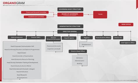 Organizational Structure | NIFT