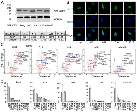 Alternative mRNA Splicing Controls the Functions of the Histone H3K27 ...