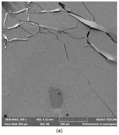 Fabrication of Stretchable Circuits on Polydimethylsiloxane (PDMS) Pre ...
