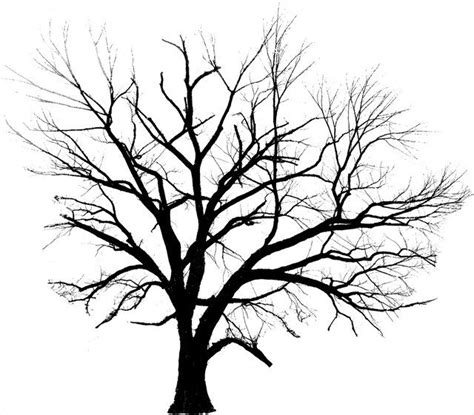 Tree Line Drawing at PaintingValley.com | Explore collection of Tree ...