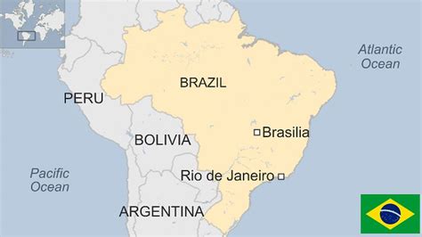 Brazil, top chicken exporter, confirms first ever avian flu cases in ...