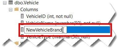 How to Change Column Name in SQL 的图像结果