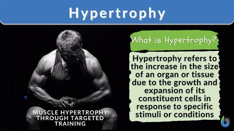 Is Hypertrophy Better Than Strength at Joel Sherwin blog