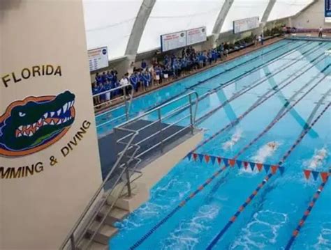 Florida Gators Swimming 的图像结果