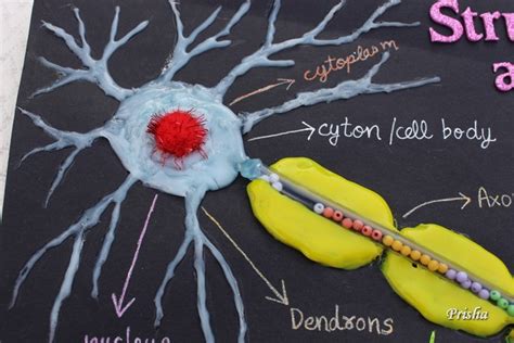 Image result for Neuron Project with Thread