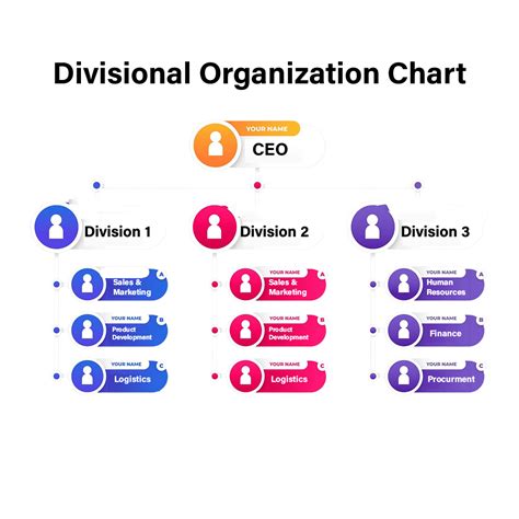 Divisional Structure Org Chart 的图像结果