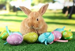 Image result for Easter Egg and a Bunny Dark