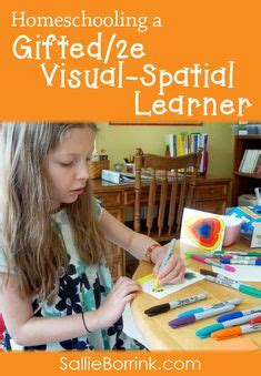 Image result for Visual Spatial Learner Characteristics