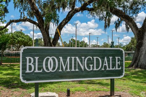 Cimino Elementary School in Valrico, FL - Homes.com