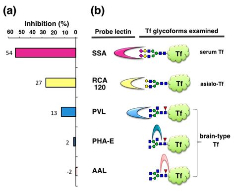 Lectin-Based Assay for Glycoform-Specific Detection of α2,6-sialylated ...