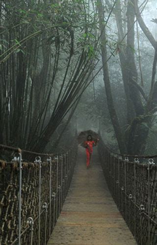 Neelimala Viewpoint near Meenmutty falls, Wayanad | Kerala Tourism