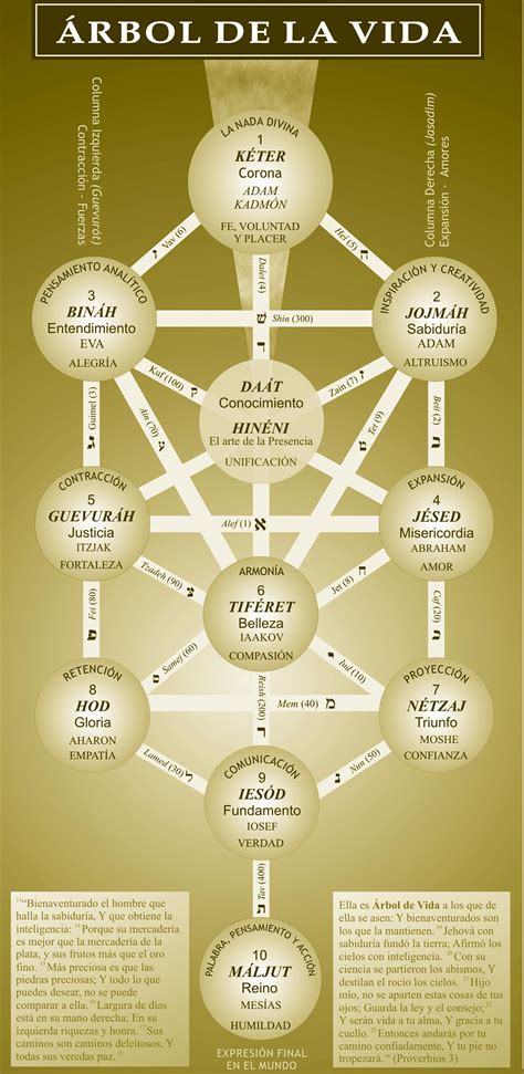 Arbol Hineni-2 | Arbol de la vida, Significado del árbol de la vida ...