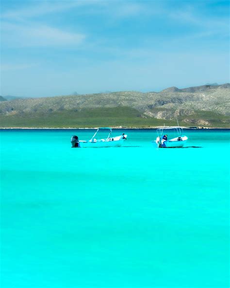 Image result for Best Spring Break