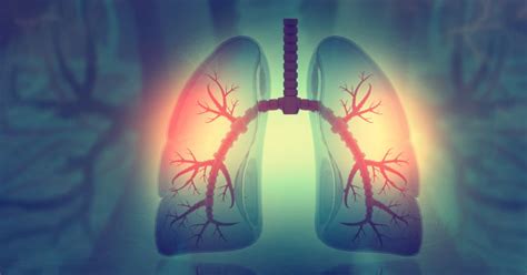 AirNexis Launches To Take On Merck In Expanding PDE3/4i COPD Field