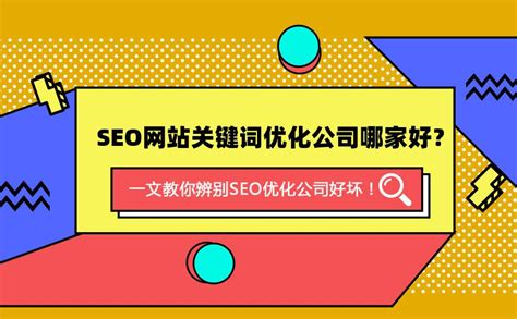 优化和seo有什么区别（如何选择seo公司）-8848SEO