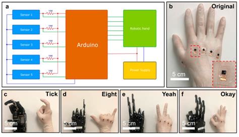 Skin-Like Strain Sensors Enabled by Elastomer Composites for Human ...
