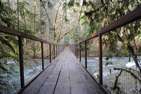 Black Watch Sasquatch: Eagle Fern Park - Estacada, Oregon