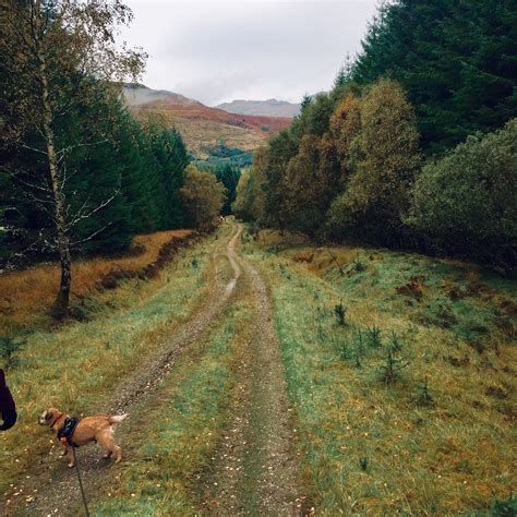 ACHARN FOREST WALK (2026) All You Need to Know BEFORE You Go (with ...