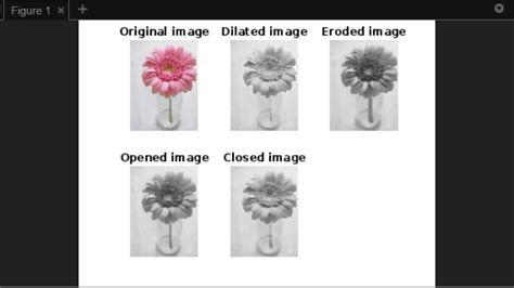 Morphometric Analysis Program MATLAB Script 的图像结果