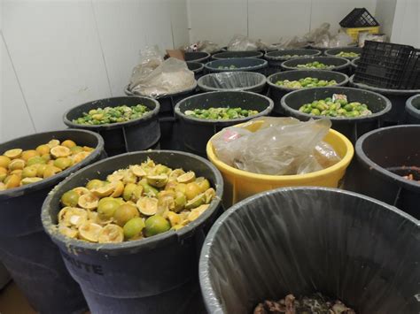 Image result for Food Waste Composting