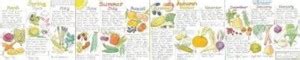 Seasonal Fruit and Vegetables Wallchart: Buy Seasonal Fruit and ...