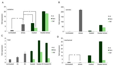 Nimodipine but Not Nifedipine Promotes Expression of Fatty Acid 2 ...