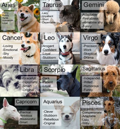 horoscope是什么意思